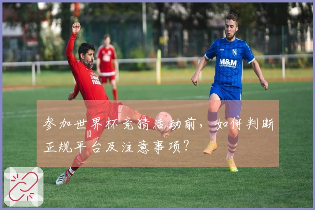 参加世界杯竞猜活动前，如何判断正规平台及注意事项？