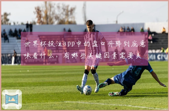 世界杯投注app中的盘口升降到底意味着什么，有哪些关键因素需要关注？