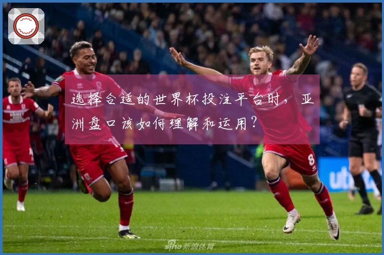 选择合适的世界杯投注平台时，亚洲盘口该如何理解和运用？