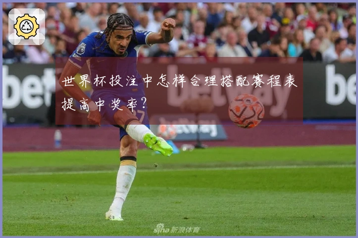 世界杯投注中怎样合理搭配赛程表提高中奖率？