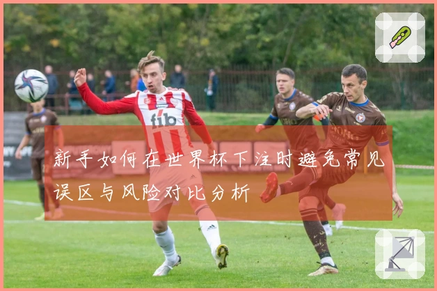 新手如何在世界杯下注时避免常见误区与风险对比分析