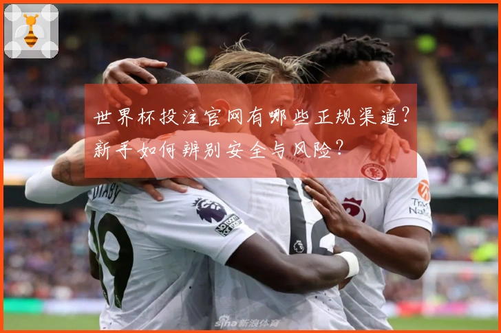 世界杯投注官网有哪些正规渠道？新手如何辨别安全与风险？