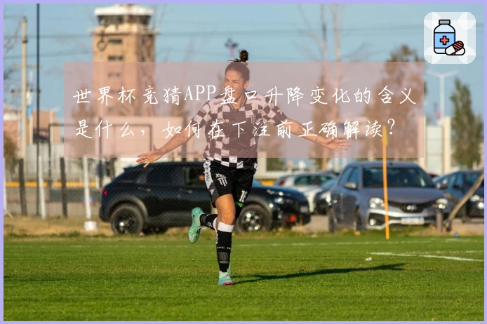 世界杯竞猜APP盘口升降变化的含义是什么，如何在下注前正确解读？
