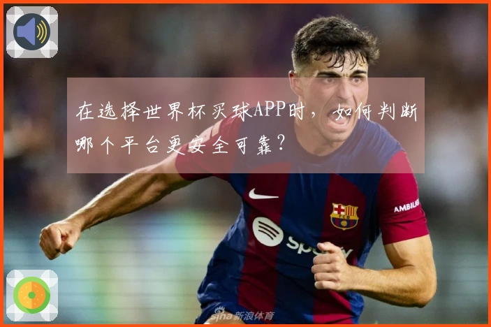 在选择世界杯买球APP时，如何判断哪个平台更安全可靠？