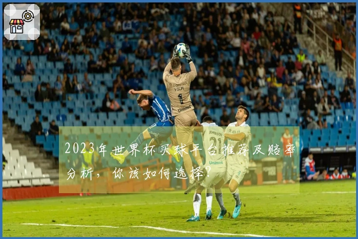 2023年世界杯买球平台推荐及赔率分析，你该如何选择？