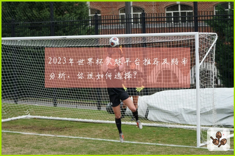 2023年世界杯买球平台推荐及赔率分析，你该如何选择？