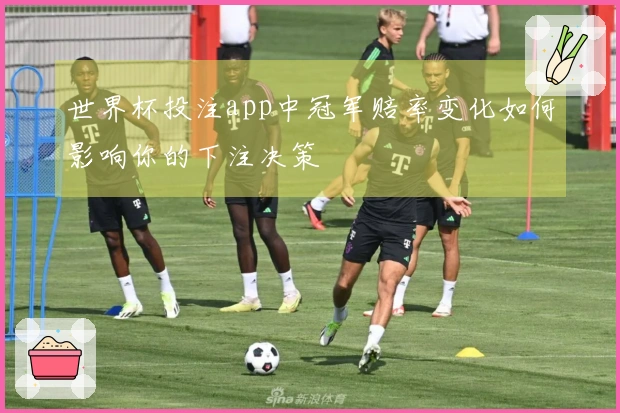 世界杯投注app中冠军赔率变化如何影响你的下注决策
