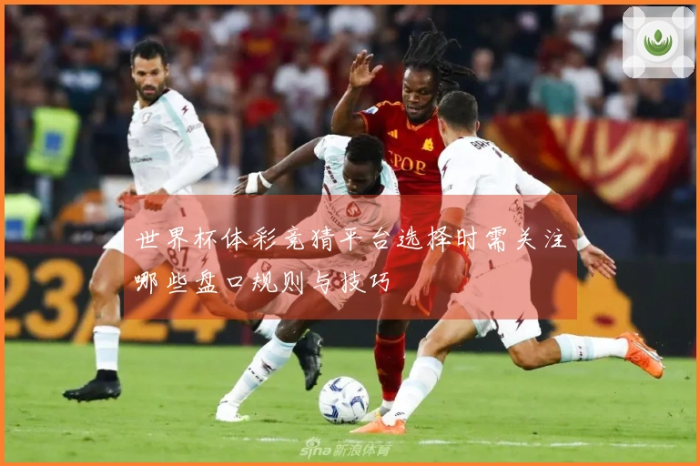 世界杯体彩竞猜平台选择时需关注哪些盘口规则与技巧