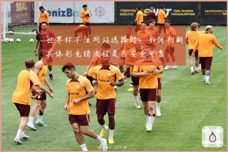 世界杯下注网站选择时，如何判断其体彩竞猜流程是否安全可靠