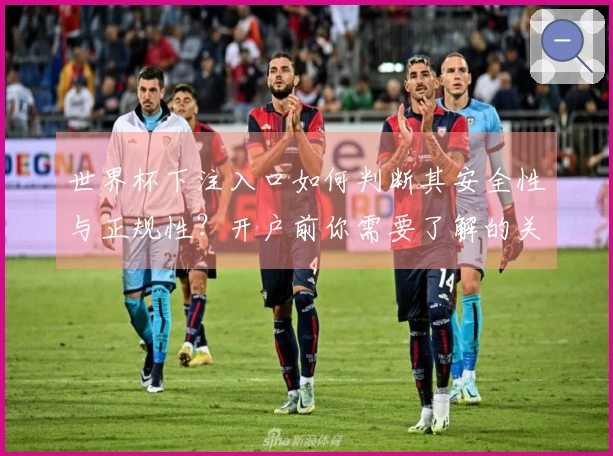 世界杯下注入口如何判断其安全性与正规性？开户前你需要了解的关键要点