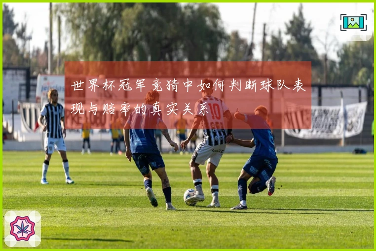 世界杯冠军竞猜中如何判断球队表现与赔率的真实关系