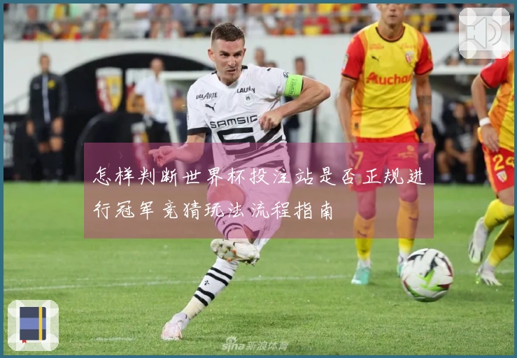 怎样判断世界杯投注站是否正规进行冠军竞猜玩法流程指南