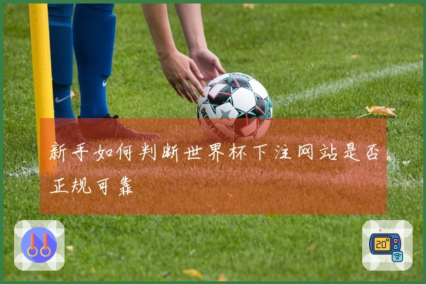 新手如何判断世界杯下注网站是否正规可靠