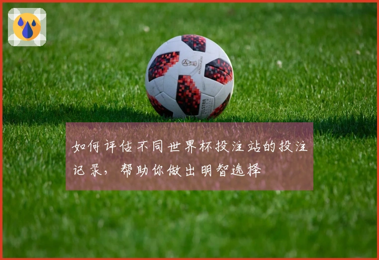 如何评估不同世界杯投注站的投注记录，帮助你做出明智选择