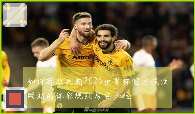 如何有效判断2026世界杯官方投注网站的体彩规则与安全性