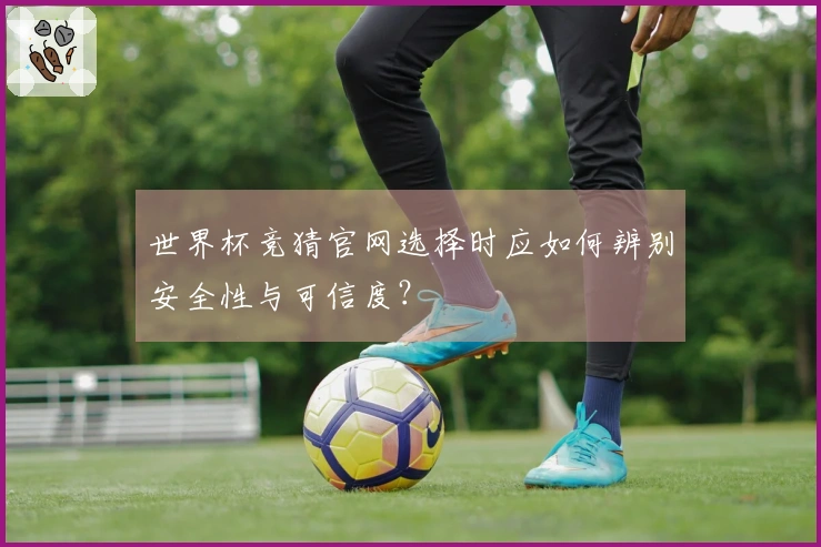 世界杯竞猜官网选择时应如何辨别安全性与可信度？