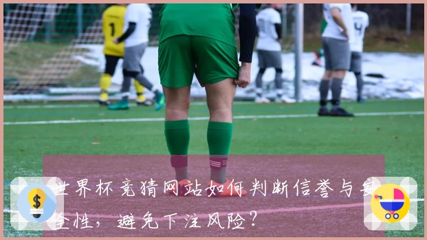 世界杯竞猜网站如何判断信誉与安全性，避免下注风险？