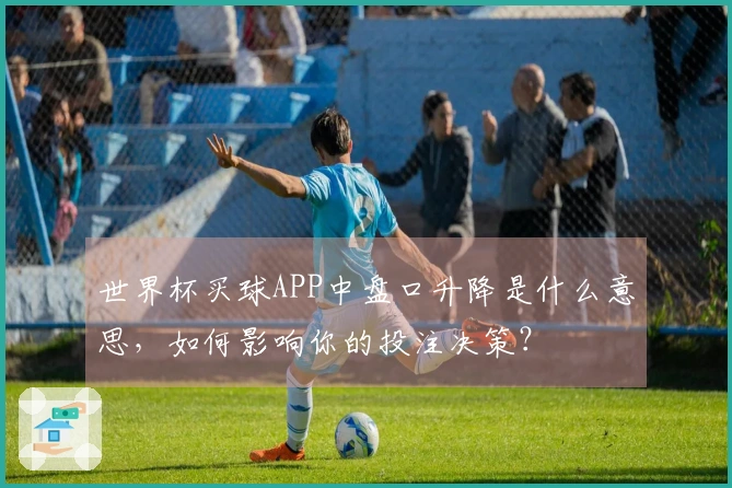 世界杯买球APP中盘口升降是什么意思,如何影响你的投注决策?