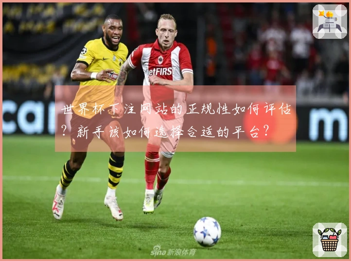 世界杯下注网站的正规性如何评估？新手该如何选择合适的平台？