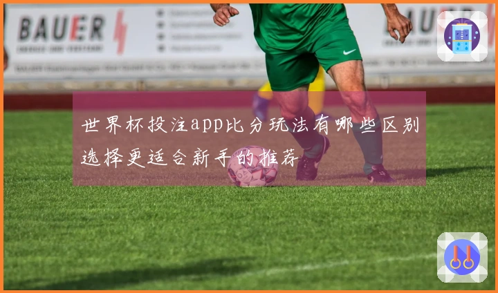 世界杯投注app比分玩法有哪些区别选择更适合新手的推荐