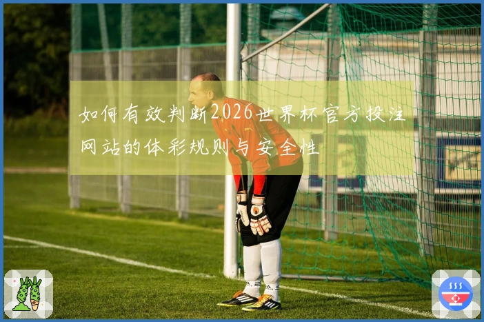 如何有效判断2026世界杯官方投注网站的体彩规则与安全性