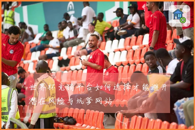 世界杯竞猜平台如何选择才能避开潜在风险与坑爹网站