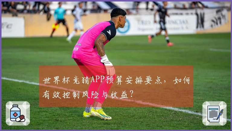世界杯竞猜APP预算安排要点，如何有效控制风险与收益？