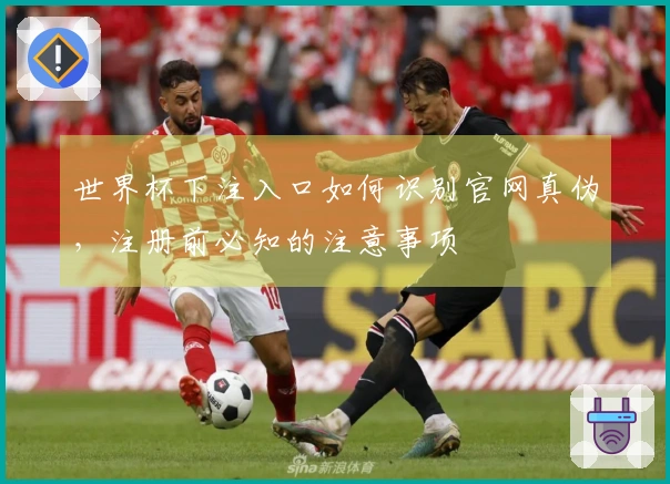 世界杯下注入口如何识别官网真伪，注册前必知的注意事项