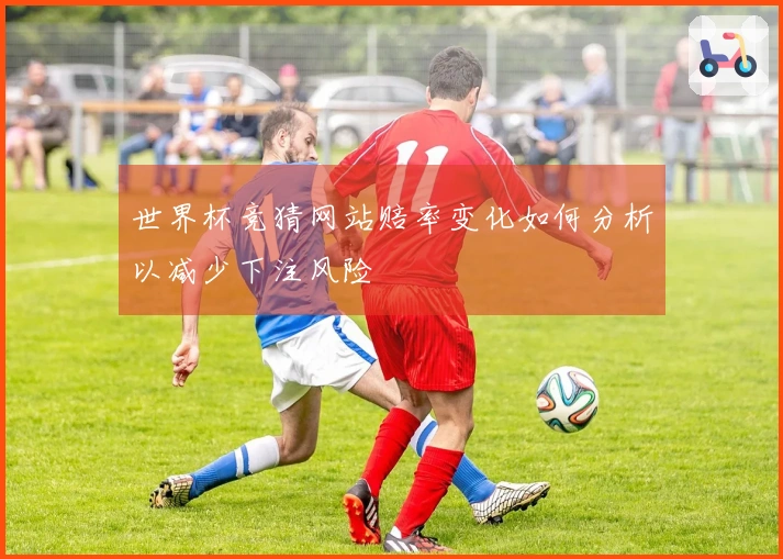 世界杯竞猜网站赔率变化如何分析以减少下注风险