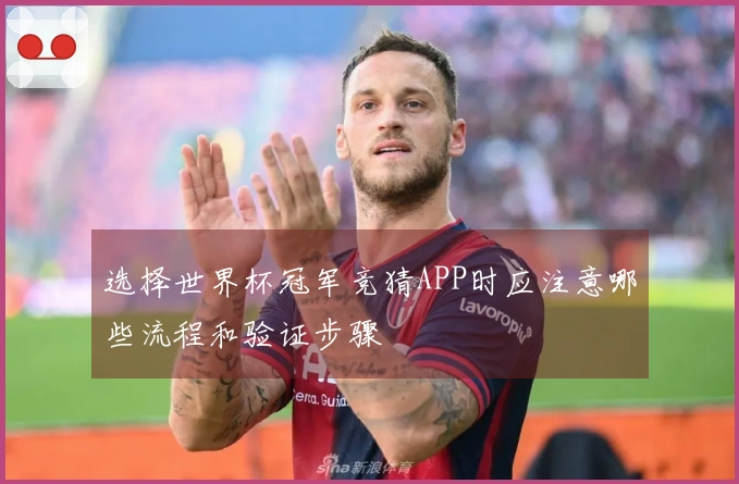 选择世界杯冠军竞猜APP时应注意哪些流程和验证步骤