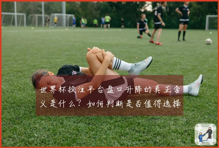 世界杯投注平台盘口升降的真正含义是什么？如何判断是否值得选择？