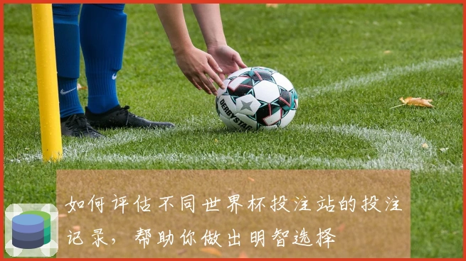 如何评估不同世界杯投注站的投注记录,帮助你做出明智选择
