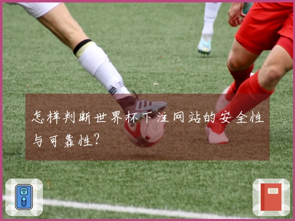 怎样判断世界杯下注网站的安全性与可靠性？