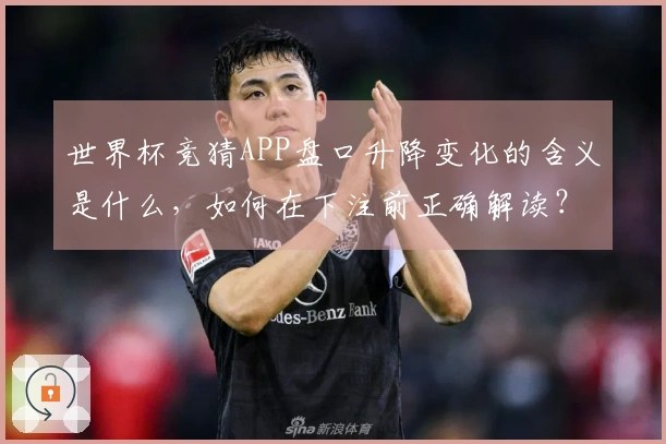 世界杯竞猜APP盘口升降变化的含义是什么，如何在下注前正确解读？