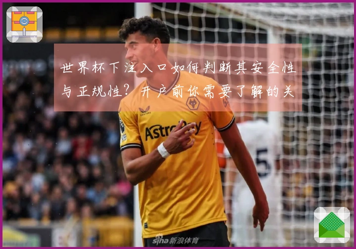 世界杯下注入口如何判断其安全性与正规性？开户前你需要了解的关键要点
