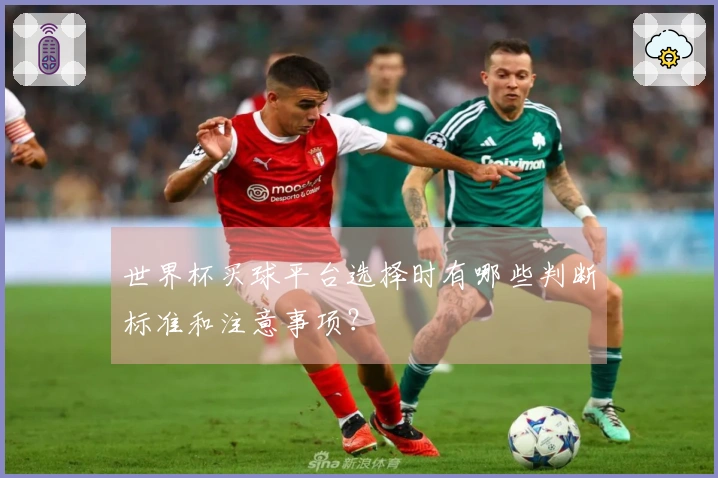 世界杯买球平台选择时有哪些判断标准和注意事项？