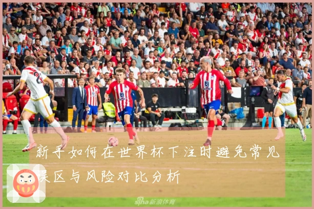 新手如何在世界杯下注时避免常见误区与风险对比分析