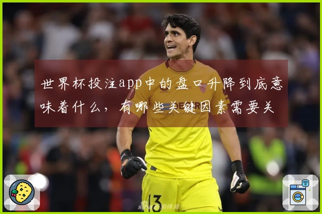 世界杯投注app中的盘口升降到底意味着什么,有哪些关键因素需要关注?