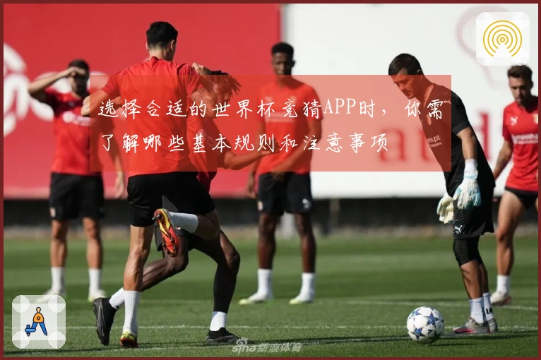 选择合适的世界杯竞猜APP时，你需了解哪些基本规则和注意事项